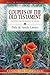 Couples of the Old Testament (LifeGuide Bible Studies)
