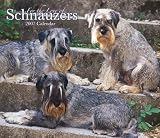 For the Love of Schnauzers 2007 Deluxe Calendar