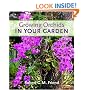 Growing Orchids in Your Garden
