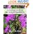 Growing Orchids in Your Garden