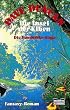 Die Insel der Elben. Die Pandemia-Saga 2.