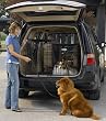 Midwest Side-by-Side Double Door SUV Crate with Plastic Pan, 36 Inches by 21 Inches by 26 Inches Midwest Side-by-Side Double Door SUV Crate with Plastic Pan, 36 Inches by 21 Inches by 26 Inches