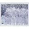 25 Windham Hill Christmas/Winter Solstice/Celtic Christmas CDs + 1