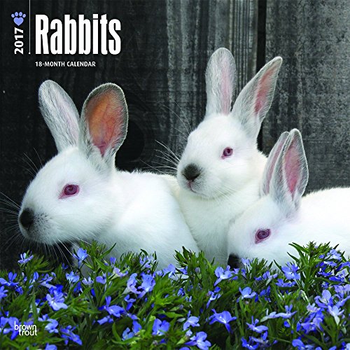 Rabbits 2017 Square