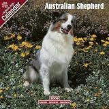 Australian Shepherd 2009 Wall Calendar 12 X 12