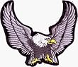 Large Black, Silver & White Eagle - 5" x 4" - Embroidered Iron On or Sew On Patch