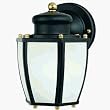 Westinghouse Lighting 64516 Energy Star Outdoor Fixture