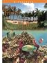 Dive Travel Fiji The Tropical South Pacific Islands