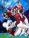 Alabama Painting - Mount Cody