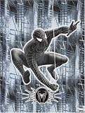 Spider-Man 3 Movie Reversible Comforter - Full