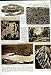 1950 GENERAL TASSIGNY WAR INDIO-CHINA UNIVERSITY PORT