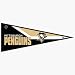 Sporting Goods : Hockey Pennants: NHL Pittsburgh Penguins Pennant
