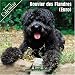 Bouvier des Flandres (Euro) 2007 Wall Calendar