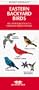 Eastern Backyard Birds: An Introduction to Familiar Urban Species (Pocket Naturalist)