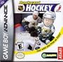 Backyard Hockey