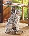 White Tiger Glass Top End Table