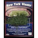 Steiner Sports NFL New York Giants Stadium Game-Used Turf Plaque