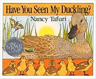 Have You Seen My Duckling?