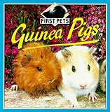 Guinea Pigs (First Pets)