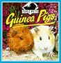 Guinea Pigs (First Pets)