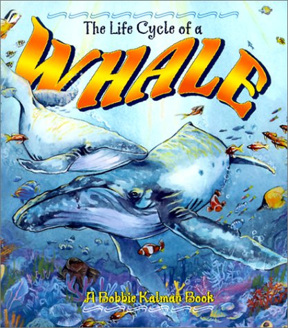 The Life Cycle of a Whale (The Life Cycle)