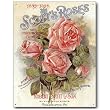 Nostalgic Flowers & Seeds Tin Sign : Scotts Roses