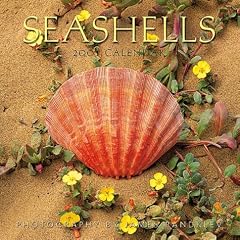 Seashells 2001 Calendar