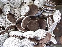 Non Pariels, Dark Chocolate, White Seeds, 1 Lb.