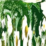 CD Cover