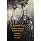 Understanding Wallace Stevens?