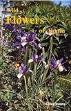 Wild flowers of Spain