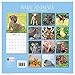 Cute Adorable Baby Animals 2017 Monthly Wall Calendar, 12