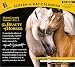 Book The Beauty of Horses - Horse Lover's Library, Vol. 1 (Screen-A-Day-Calendar) (60-Second Smart)