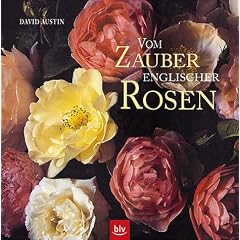 Vom Zauber Englischer Rosen
