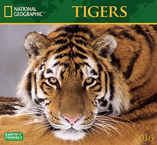 Tigers National Geographic 2016 Wall Calendar
