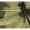 Must Have Coheed & Cambria