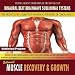 Muscle Recovery & Growth