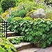 Extra-Large Faux Hollow Landscaping Rock