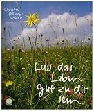 Lass das Leben gut zu dir sein: Gesegnet durch das Jahr - Christa Spilling-N&ouml;ker