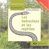 Les batraciens et les reptiles
