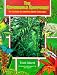 Book The Remarkable Rainforest: An Active-Learning Book for Kids