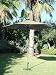 All Products : Solar Patio Umbrella
