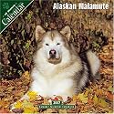 Alaskan Malamute 2007 Wall Calendar