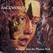 Anklicken zum Vergrößeren: Backworld - Anthems from the Pleasure Park (Audio CD)