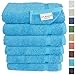 SALBAKOS 100% Turkish Cotton Hand Towel Set of 6 16x30 inch | Heirloom Quality | Hotel & Spa Collection | Ultra Soft, Super Absorbent, Long Lasting Hand Towels | Made in Turkey (Aqua, 6 Hand Towels)