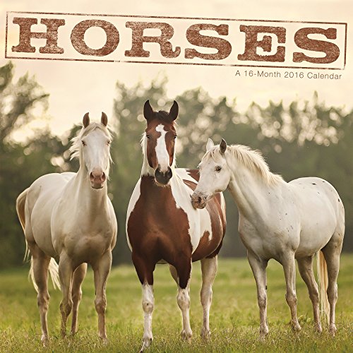 Horses 2016 Wall Calendar