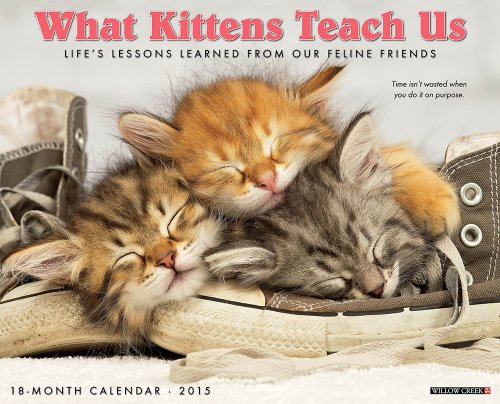 What Kittens Teach Us 2015 Wall Calendar