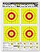 Trouble Shooter Handgun - Paper Gun Range Shooting Targets 19x25 Inch
