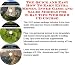 Book The Quick and Easy How To Earn Extra Money, Inner Game and Sales Models for E-bay Tips Web Biz 3 CD Course