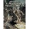 Arthur Rackham books